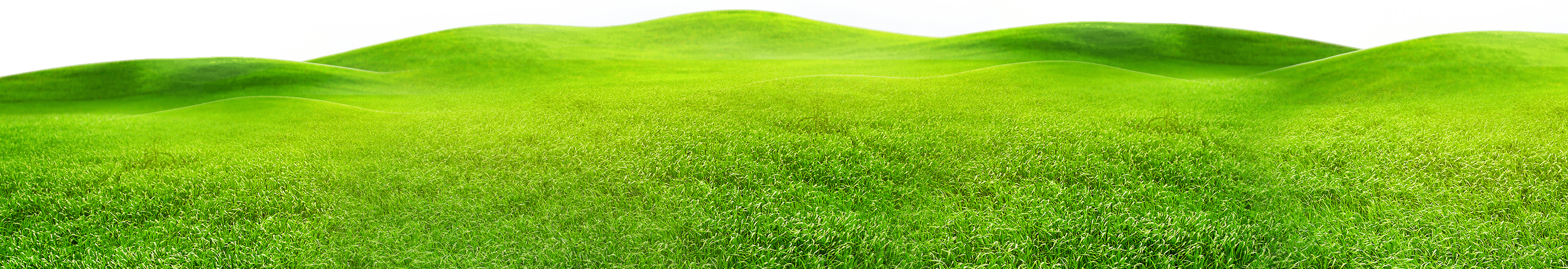 HOPE the Project - Healing of planet earth by Nina Messinger